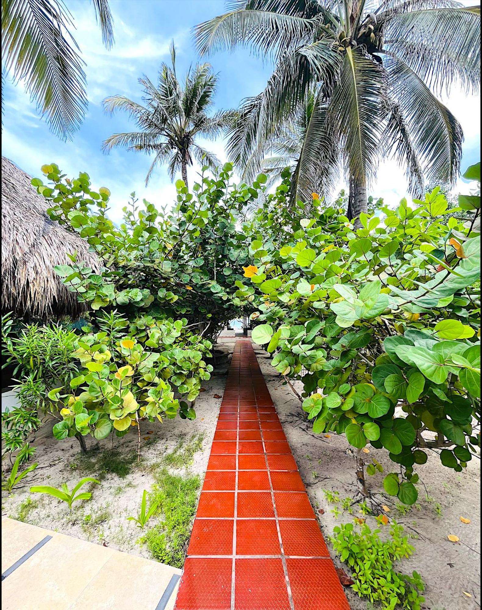 Carey Beach Isla Barú Exteriér fotografie